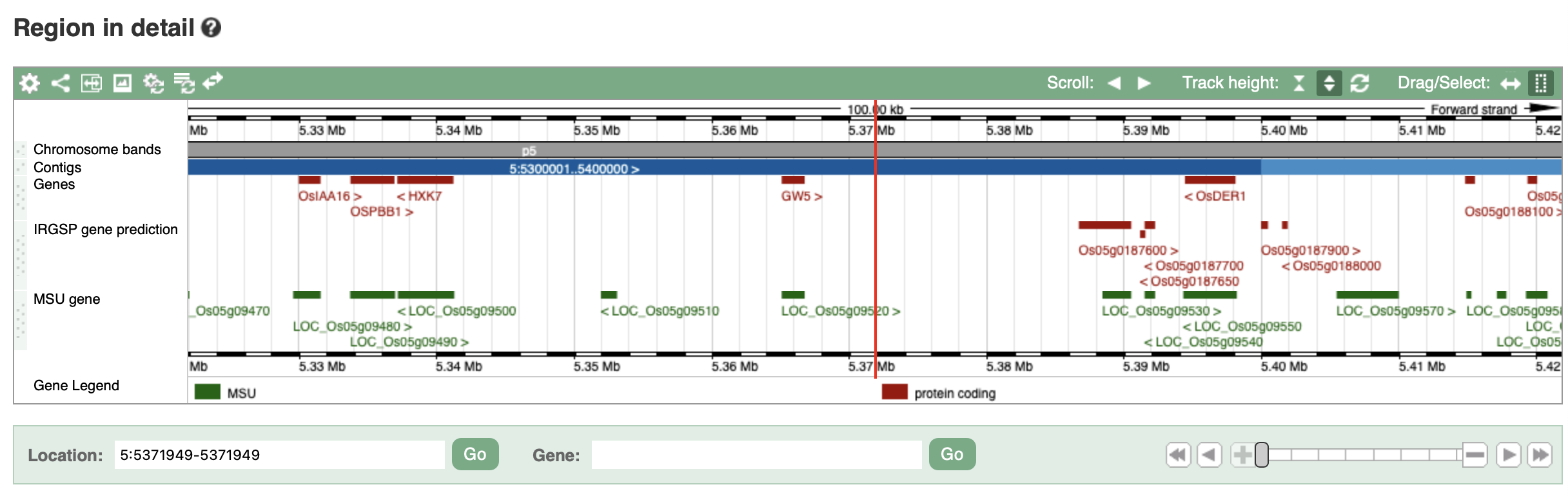 ensembl-plant-genome-browser